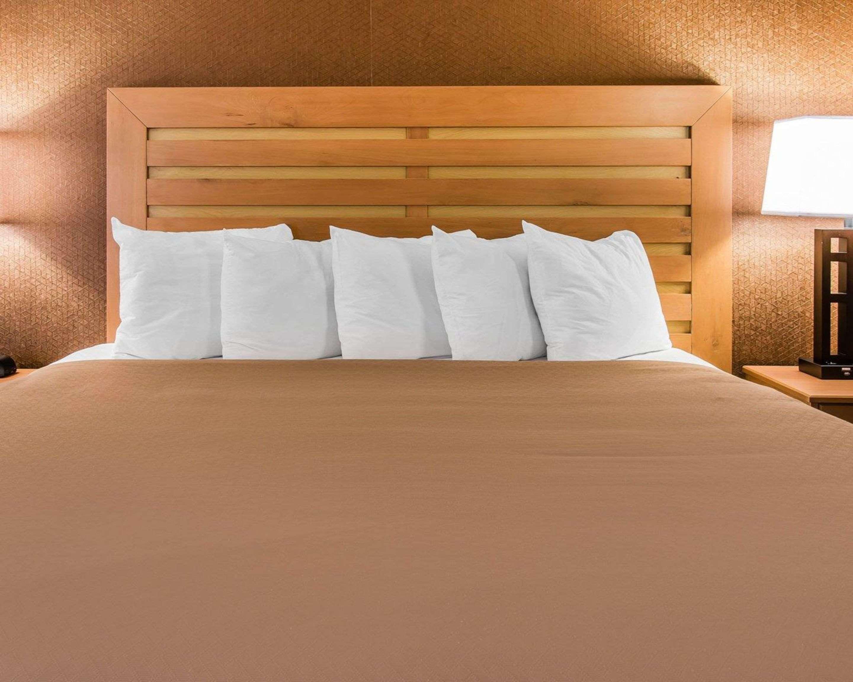 Quality Inn & Suites Warren - Detroit Dış mekan fotoğraf